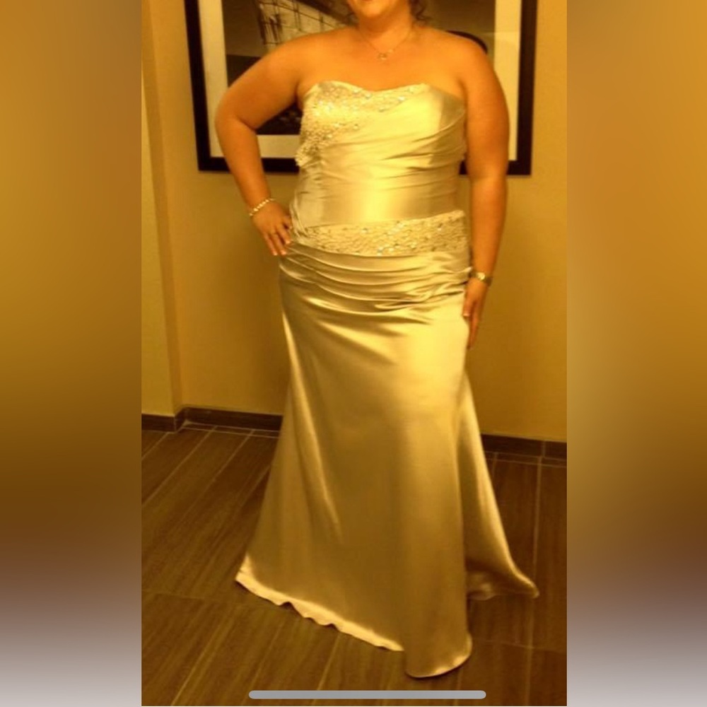 Customer made dress. Size 20-22